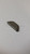 Genuine MTD  Part KEY-HI PRO .25 X 1 714-04059