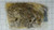 Genuine MTD  #50 CHAIN 5/8 PITCH X 54 LINKS Part#  913-0484