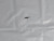 Genuine OEM Kawasaki 5 Pack SPRING 314310-5232-00 Part# 92081-2192