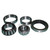 Wheel Bearing Kit For Ford/New Holland CBPN1200B