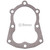 Head Gasket replaces Tecumseh 28938C Part # 465-443