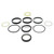 Loader Cyl Packing Kit For CaseIH 1543253C1