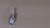 Genuine Kawasaki OEM SOLENOID Part# 21188-2010