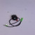 Genuine OEM Kohler SWITCH IGNITION part# 17 099 26-S