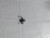 Genuine Kawasaki OEM REGULATOR-FUEL Part# 16162-2053