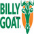 Genuine Billy Goat HARD BOTTOM TURF BAG FOR VQ Part # 830313