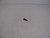 Genuine Tecumseh   STUD-RPL 650872  Part# 651024