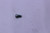 Genuine Tecumseh   SCREW  Part# 650986