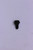 Genuine Tecumseh   SCREW  Part# 650936