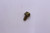 Genuine Tecumseh   SCREW  Part# 650902