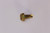 Genuine Tecumseh   SCREW  Part# 650765