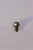 Genuine Tecumseh   SCREW  Part# 650737