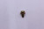 Genuine Tecumseh   SCREW  Part# 650735