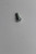 Genuine Tecumseh   SCREW  Part# 650709