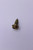 Genuine Tecumseh   SCREW RPL 30137  Part# 650562