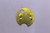 Genuine Tecumseh   SHUTTER RPL 632793  Part# 640913