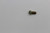 Genuine Tecumseh   SCREW  Part# 640245