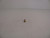 Genuine Tecumseh   NUT  Part# 640162