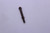 Genuine Tecumseh   NOLE  Part# 640033