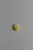 Genuine Tecumseh   FUEL JET  Part# 640021