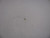 Genuine Tecumseh   FUEL JET  Part# 640018
