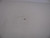 Genuine Tecumseh   FUEL JET  Part# 640016