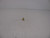 Genuine Tecumseh   NUT  Part# 632736