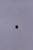 Genuine Tecumseh   RESTRICTOR  Part# 632701