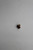 Genuine Tecumseh   FUEL JET  Part# 632457