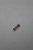 Genuine Tecumseh   SPRING  Part# 632376
