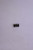 Genuine Tecumseh   SPRING  Part# 632310