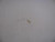 Genuine Tecumseh   ADJ SCREW  Part# 632102