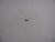 Genuine Tecumseh   IDLE SCREW  Part# 631562