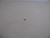 Genuine Tecumseh   GOV SPRING  Part# 570707