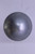 Genuine Tecumseh   COVER  Part# 570683