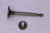 Genuine Tecumseh   INTAKE VALVE ST  Part# 37748