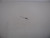 Genuine OEM Tecumseh EXT SPRING part # 36710