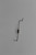 Genuine OEM Tecumseh SPRING  Part# 36702