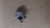 Genuine Kawasaki OEM CARBURETOR-ASSY Part# 15003-7133