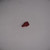 Genuine Tecumseh KNOB                            Part Number  35440