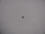 Genuine Tecumseh   RET RING  Part# 34952