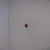 Genuine Tecumseh   KNOB  Part# 32410