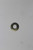 Genuine Tecumseh   WASHER  Part# 27261