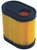 Genuine Oregon Air Filter rpls Tecumseh 36905 69-331