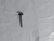 Genuine Kawasaki OEM VALVE-EXHAUST Part# 12005-2100
