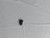 Genuine OEM Hydro-Gear SHOCK VALVE ASSY  Part# 52498-0027