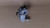 Genuine Kawasaki OEM CARBURETOR-ASSY Part# 15003-2835