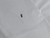 Genuine Kawasaki OEM SCREW5X16 Part# 92009-V001