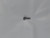 Genuine Kawasaki OEM BOLT-FLANGED6X20 Part# 130AA0620