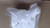 Genuine Kawasaki OEM TANK-COMP-FUEL Part# 51001-2316